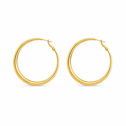 Fione Örhängen - Guld